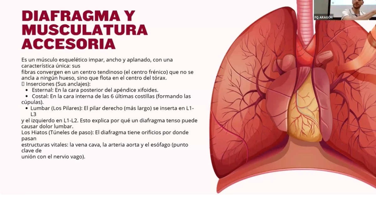 Taller respiración consciente