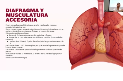 Taller respiración consciente