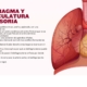 Taller respiración consciente